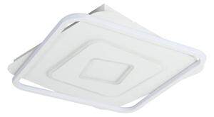 Brilagi - LED stmievateľné stropné svietidlo IRIS LED/98W/230V 50x50 cm biela + DO