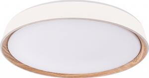 LED stmievateľné stropné svietidlo ILVI LED/45W/230V 2700-6500K pr. 50 cm biela/béžová+DO