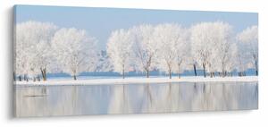 Obraz zimnej krajiny (120x50 cm)