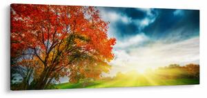 Obraz krajiny zaliate slnečným svitom (120x50 cm)