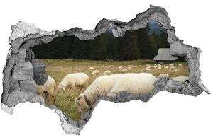 Diera 3D fototapeta nálepka Pasúce sa ovce nd-b-197671747