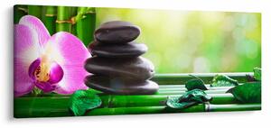 Obraz masážnych kameňov a orchidey na vode (120x50 cm)