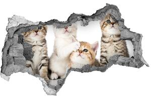 Diera 3D fototapeta nástenná Nálepka malé mačky