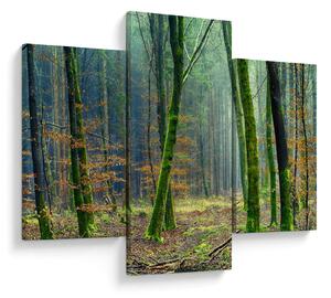 Obraz lesa (90x60 cm)