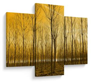 Obraz lesa pri západe slnka (90x60 cm)