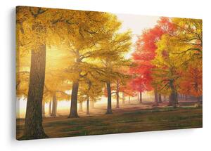 Obraz jesenných stromov (90x60 cm)
