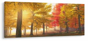 Obraz jesenných stromov (120x50 cm)