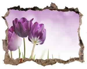 Samolepící díra nálepka Filé tulipány nd-k-52340543