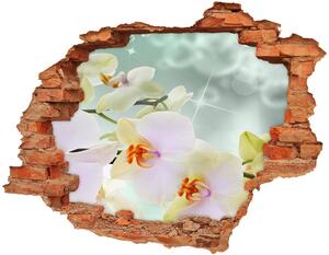 3D diera nálepka Biela orchidea nd-c-91133337