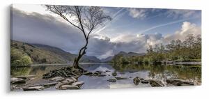 Obraz rieky za stromom (120x50 cm)