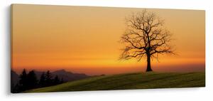 Obraz západu slnka na lúke (120x50 cm)