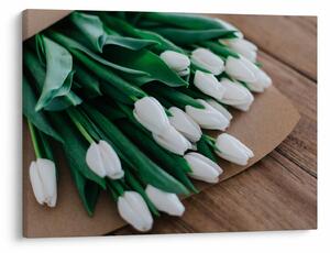 Obraz kytice bielych tulipánov (70x50 cm)