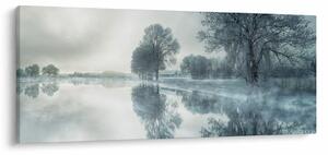 Obraz zimnej prírody (120x50 cm)