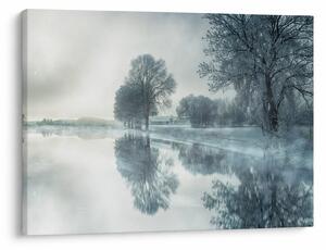 Obraz zimnej prírody (70x50 cm)