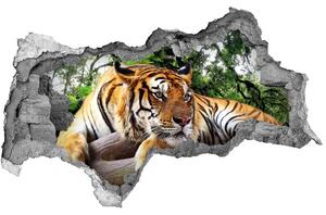 Diera 3D fototapeta na stenu Tiger na skale nd-b-61968911
