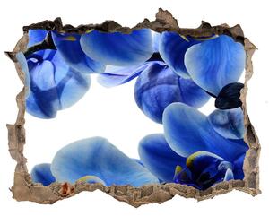 Fototapeta nálepka na zeď Modrá orchidea nd-k-108719239