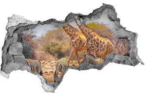 Diera 3D fototapeta nálepka Žirafy a zebry nd-b-99320619