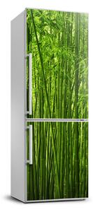 Nálepka fototapety na chladničku Bambusový les