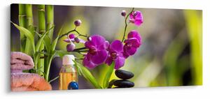 Obraz - spa and stones (120x50 cm)