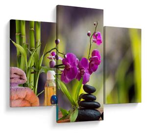 Obraz - spa and stones (90x60 cm)
