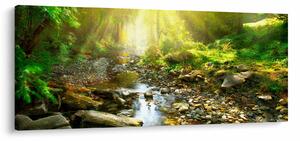 Obraz rieky v zelenom lese (120x50 cm)