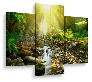 Obraz rieky v zelenom lese (90x60 cm)