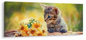 Obraz mačiatka pozerajúce sa na kvetinu (120x50 cm)