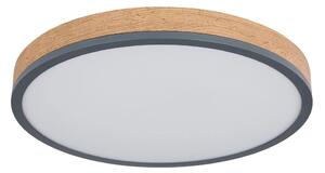 Globo 416080WD2R-CCT-LED Stmievateľné stropné svietidlo DORO 24W/230V 2700-6500K priemer 45 cm