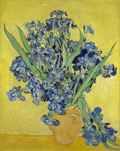 Vincent van Gogh - Umelecká tlač Irises, 1890, (30 x 40 cm)