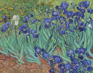 Gogh, Vincent van - Umelecká tlač Irises, 1889, (40 x 30 cm)