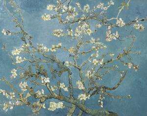 Vincent van Gogh - Obrazová reprodukcia Mandľové kvety, (40 x 30 cm)