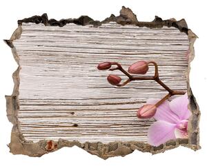 Samolepící díra na stěnu Orchidea na dreve nd-k-62495656