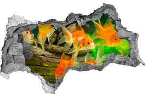 Diera 3D foto tapeta nálepka Zlatá rybka nd-b-89540196