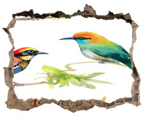 Díra 3D fototapeta na stěnu Exotické vtáctvo