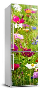 Foto tapeta na chladničku Poľné kvety
