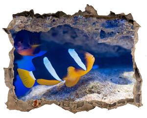 Díra 3D fototapeta nálepka Tropická ryba nd-k-105173265