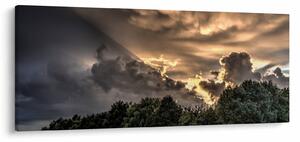 Obraz mračien a lesa (120x50 cm)