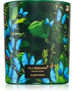 Vila Hermanos Jungletopia Blue Butterfly vonná sviečka 200 g
