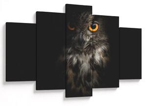 Obraz sovy (150x105 cm)