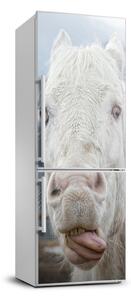 Foto nálepka na chladničku Šialený biely kôň