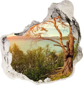 Diera 3D fototapety nálepka Jazierka scandinavia
