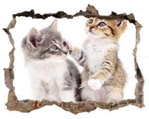 Díra 3D fototapeta nálepka Dve malé mačky nd-k-120060855