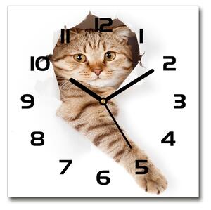 Sklenené nástenné hodiny štvorec Mačka