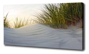 Foto obraz canvas Morské duny pl-oc-100x50-f-51837949