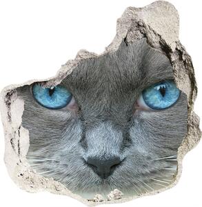 Samolepiaca diera na stenu Mačacie modré oči
