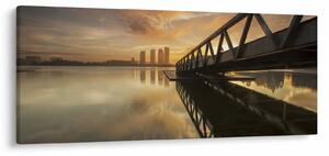 Obraz móla (120x50 cm)