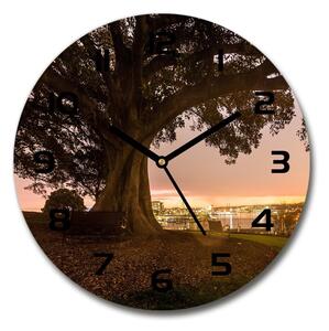 Sklenené nástenné hodiny okrúhle Starý strom