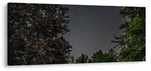 Obraz nočnej oblohy (120x50 cm)