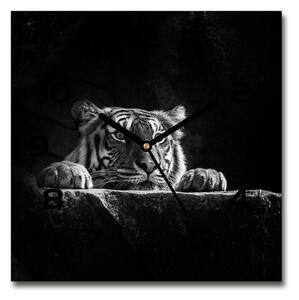 Sklenené nástenné hodiny štvorec Tiger