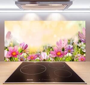 Sklenený panel do kuchyne Maky pl-pksh-120x60-f-44427234